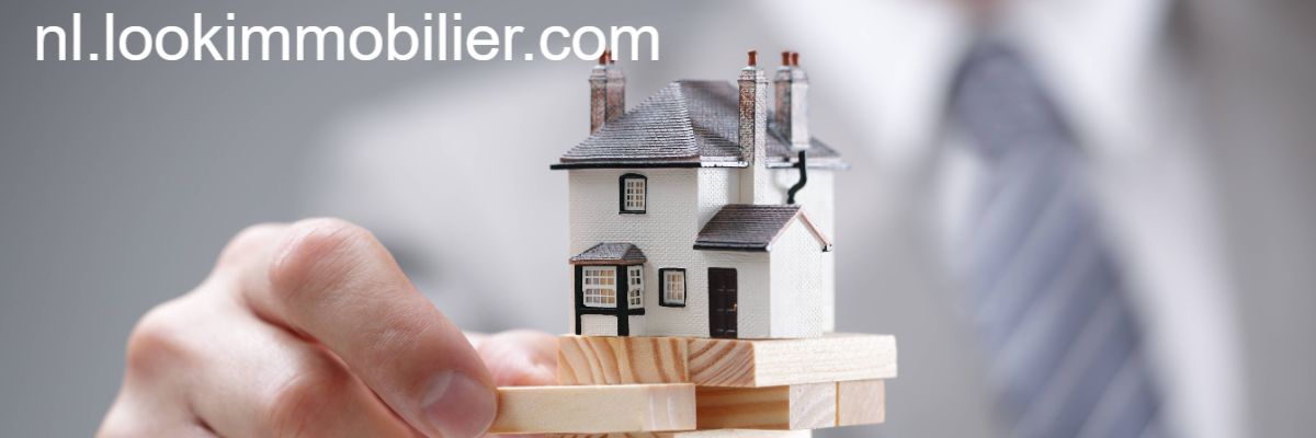 nl.lookimmobilier.com